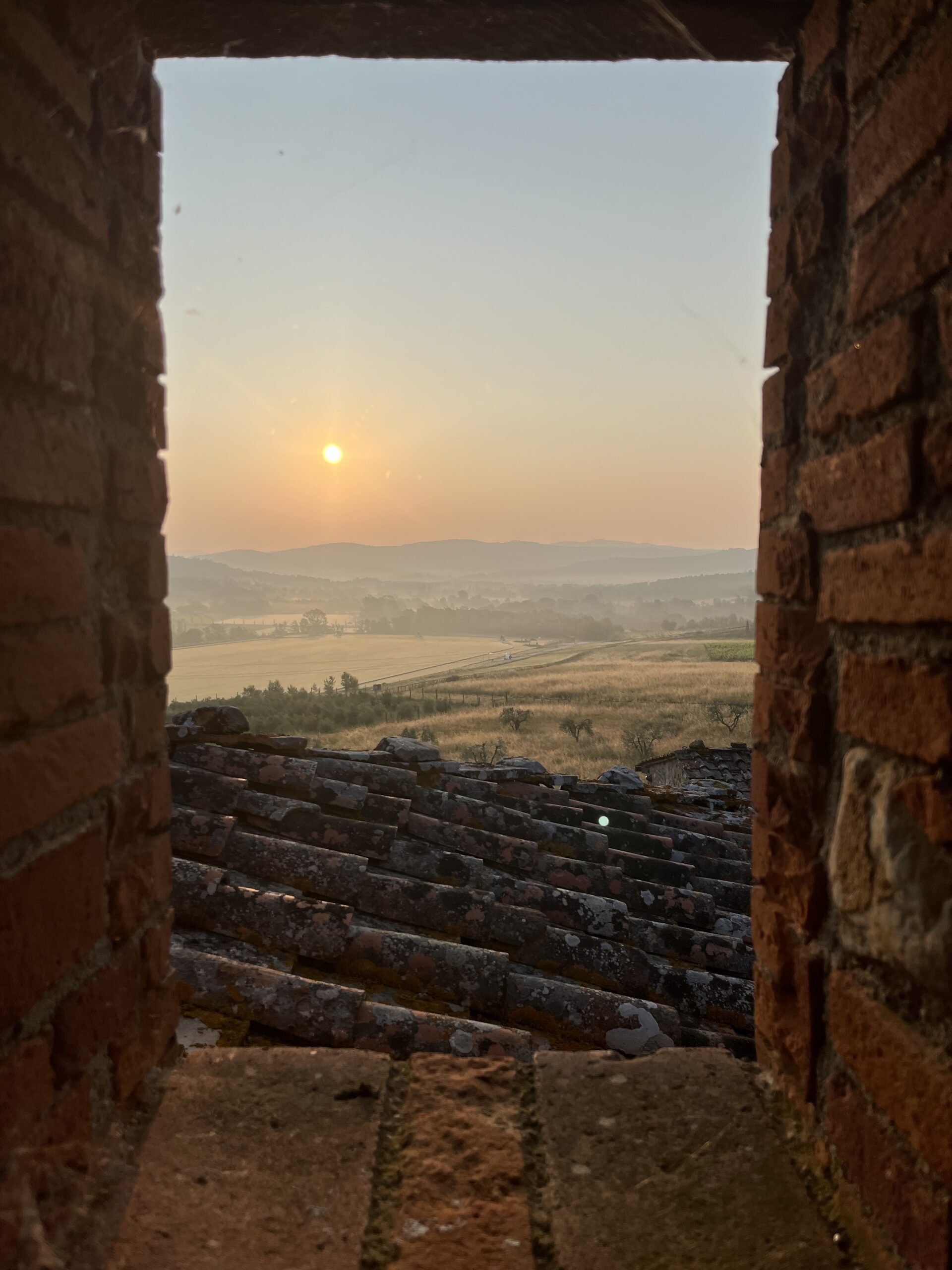 Visual Management Boards: Turning Performance Into a Shared Conversation