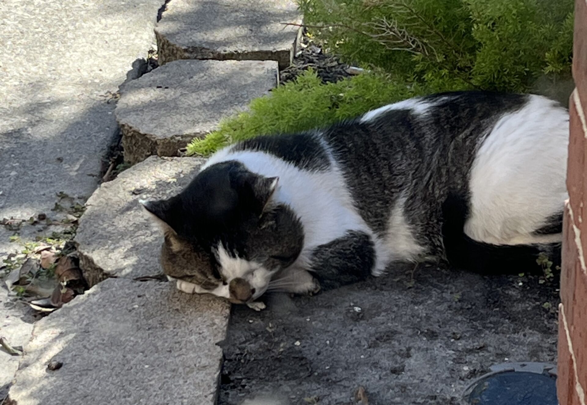 Theory of Constraints: Solving the Bottleneck with Brains, Not Money